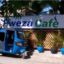 Pweza Cafe Pweza Cafe